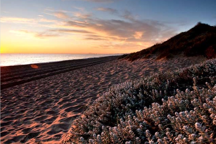 شاطئ إل سالير