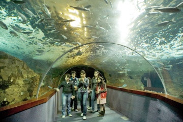 Donostia Aquarium – San Sebastian