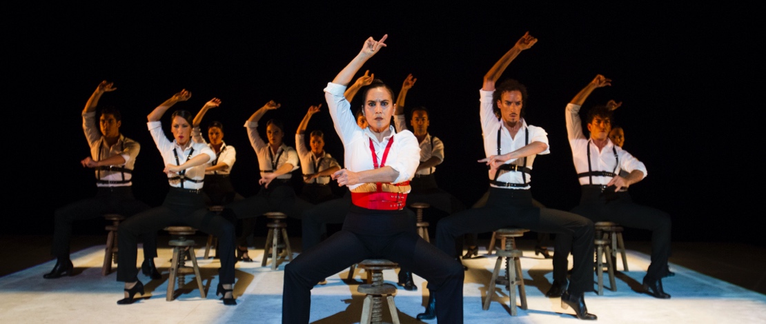 Flamenco show Flamenco show