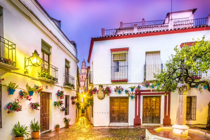 كاليخا دي لاس فلوريس في قرطبة كاليخا دي لاس فلوريس في قرطبة