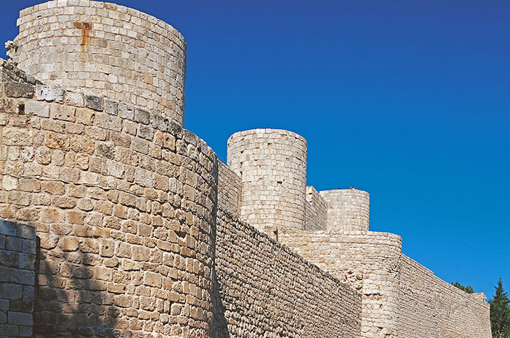 قلعة بورجوس، وقشتالة وليون قلعة بورجوس، وقشتالة وليون