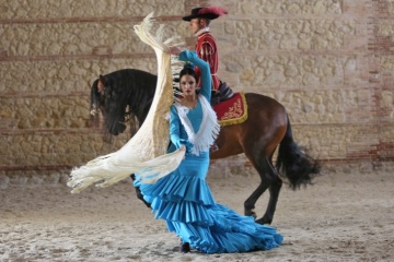 عرض الفروسية