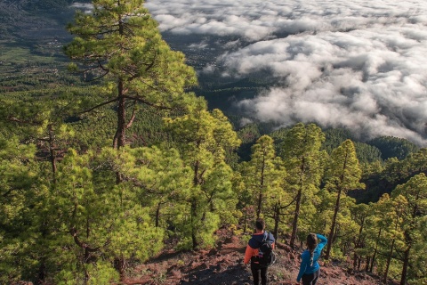 Landscape of a sea of ​​clouds in La Palma