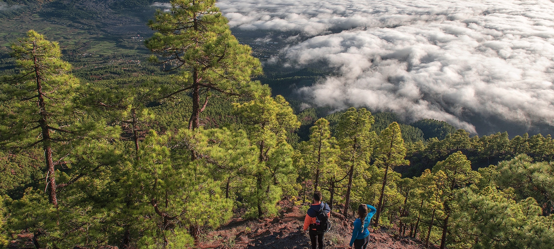 Landscape of a sea of clouds in La Palma Landscape of a sea of clouds in La Palma