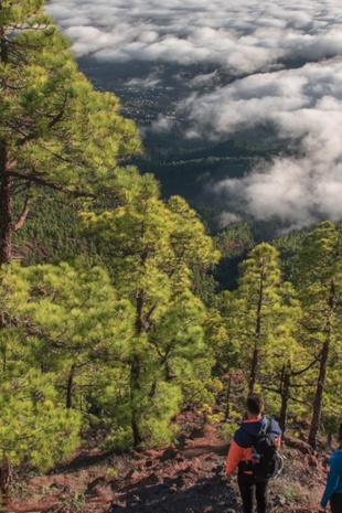 Landscape of a sea of ​​clouds in La Palma