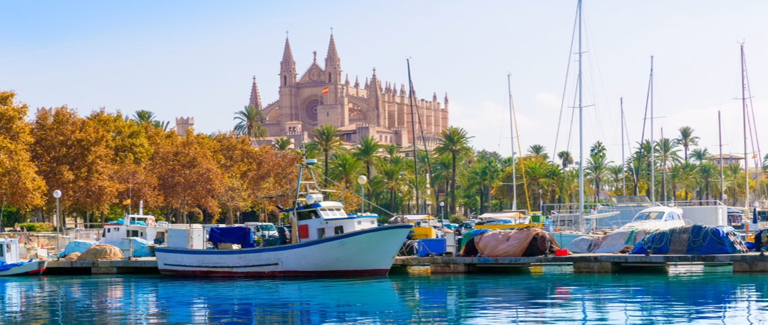 بالما مارينا بالما مارينا