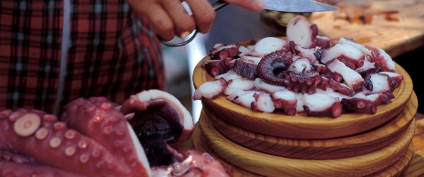 Octopus a feira