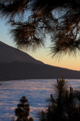 Views of Teide from a viewing point