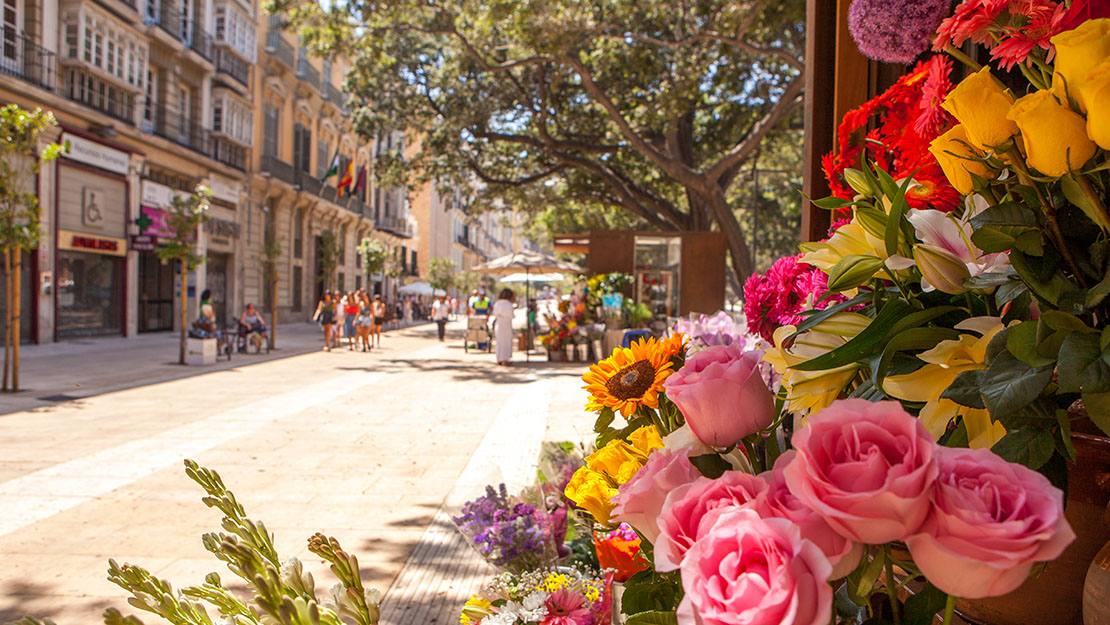 شارع لاريوس في مالقة شارع لاريوس في مالقة