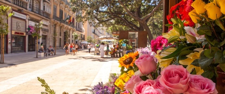 Larios street in Málaga
