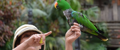 Loro Park in Tenerife, Canary Islands