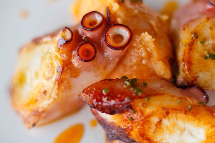 "تابا" الأخطبوط  "تابا" الأخطبوط