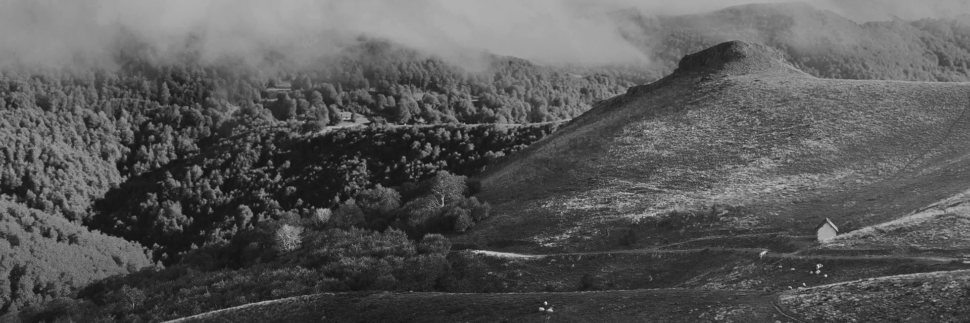 Natur im Baskenland