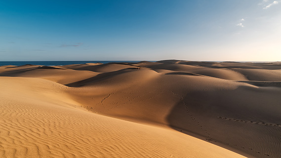 Eine endlose Reihe goldfarbener Sandhügel prägt die Landschaft