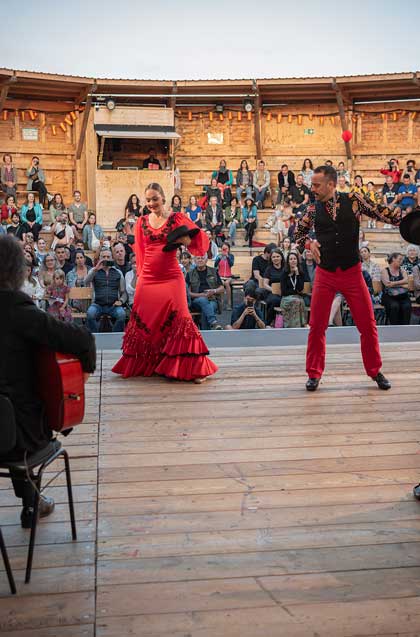 Flamenco-Galerie - Andalusisches Fest