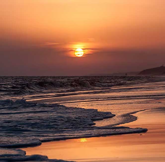 Abendgrauen im Nationalpark Doñana