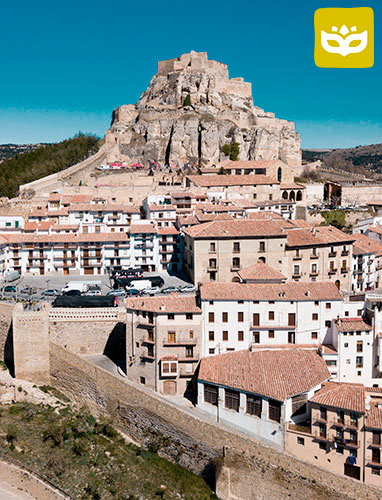 Morella 