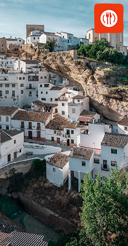 Senetil de las Bodegas