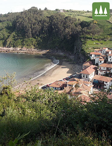 Tazones