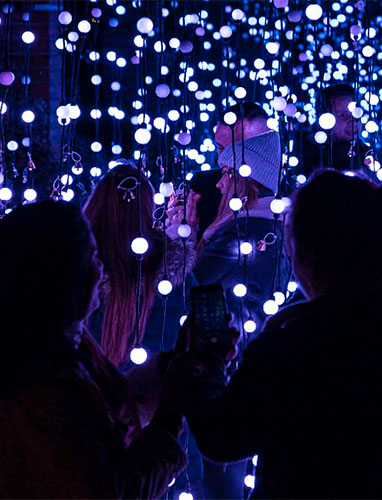 Festive Christmas garden lit up at a prior edition in Berlin