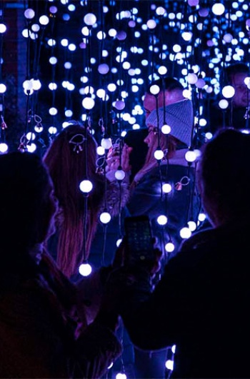 Giardino luminoso di Natale in una precedente edizione a Berlino