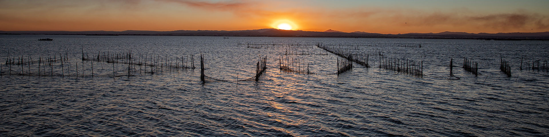 Albufera à Valence
