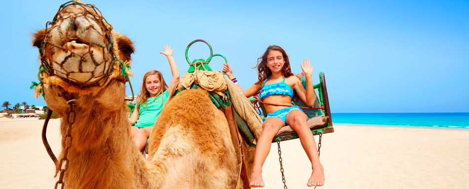 Camel riding in Fuerteventura