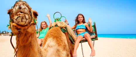 Camel riding in Fuerteventura