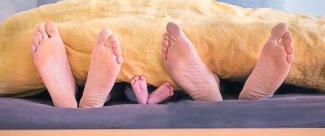 Feet of a family sticking out of a bed