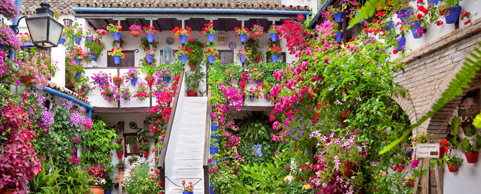 Patio orné de fleurs à Cordoue Patio orné de fleurs à Cordoue