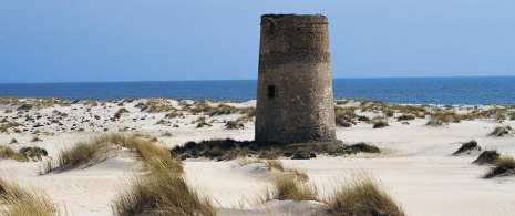 Dunes en bord de mer. Parc national de Doñana