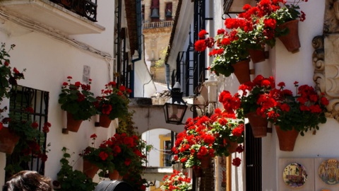 Calleja de las Flores in Cordoba