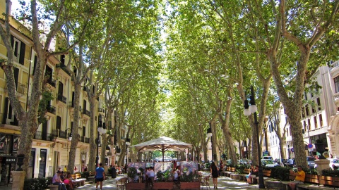 Paseo del Borne in Palma de Mallorca