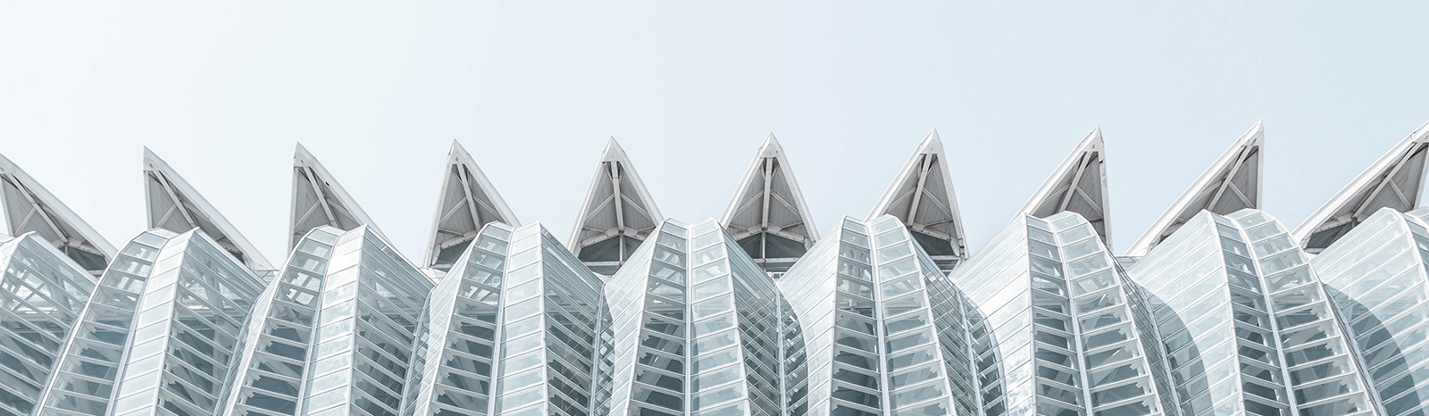 Cidade das Artes e das Ciências de Valência. Santiago Calatrava Cidade das Artes e das Ciências de Valência. Santiago Calatrava