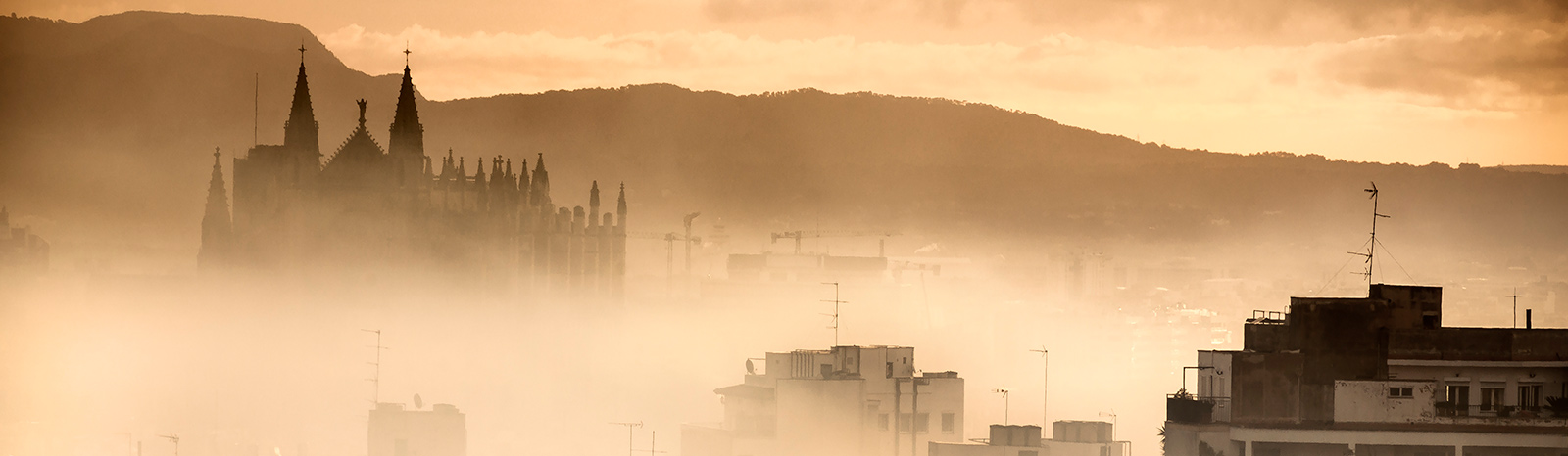 Kathedrale von Palma de Mallorca im Nebel