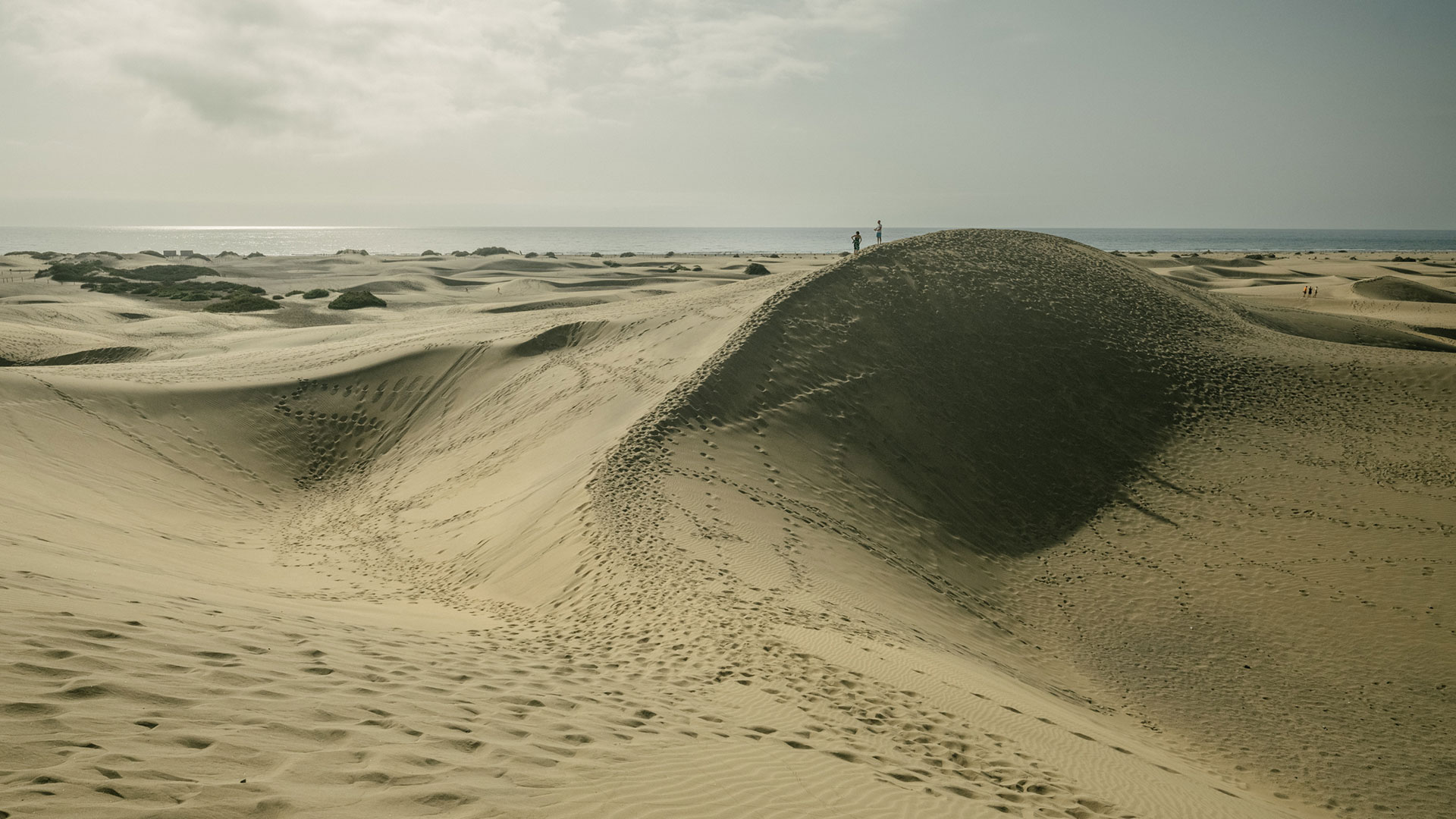 Paysage de dunes, îles Canaries Paysage de dunes, îles Canaries