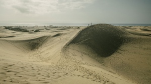 カナリア諸島の砂丘の風景