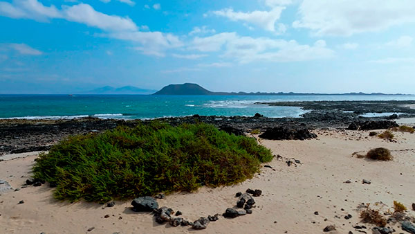 Canary Islands