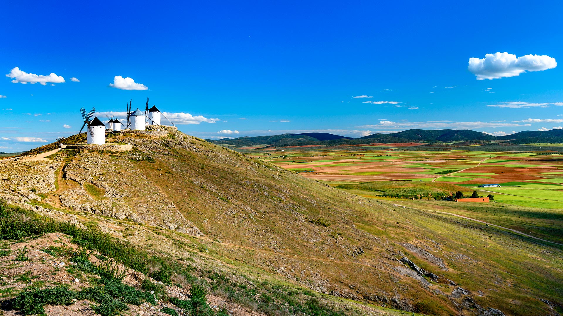 Windmills in Consuegra, Toledo