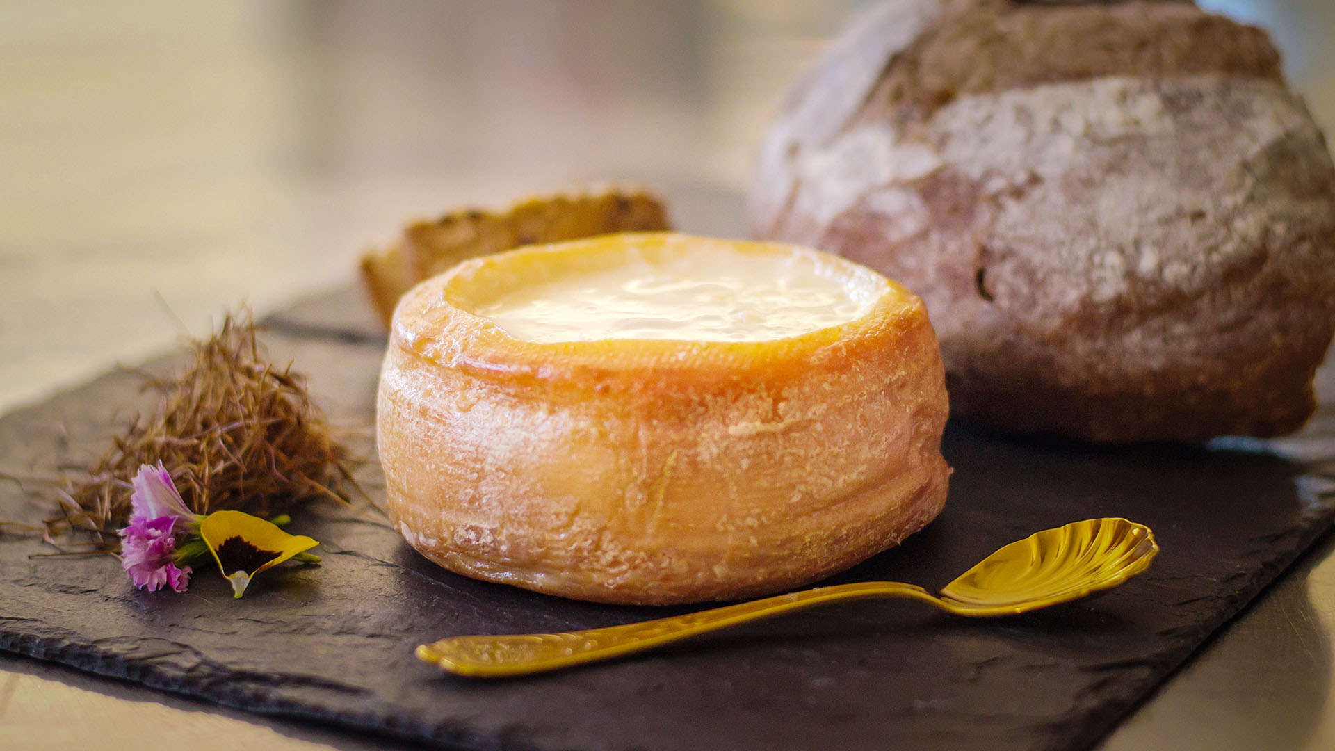 Cheeses of Extremadura, a delicious route