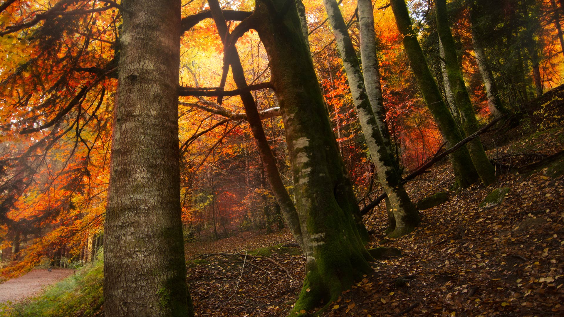 The best of Spain in autumn The best of Spain in autumn