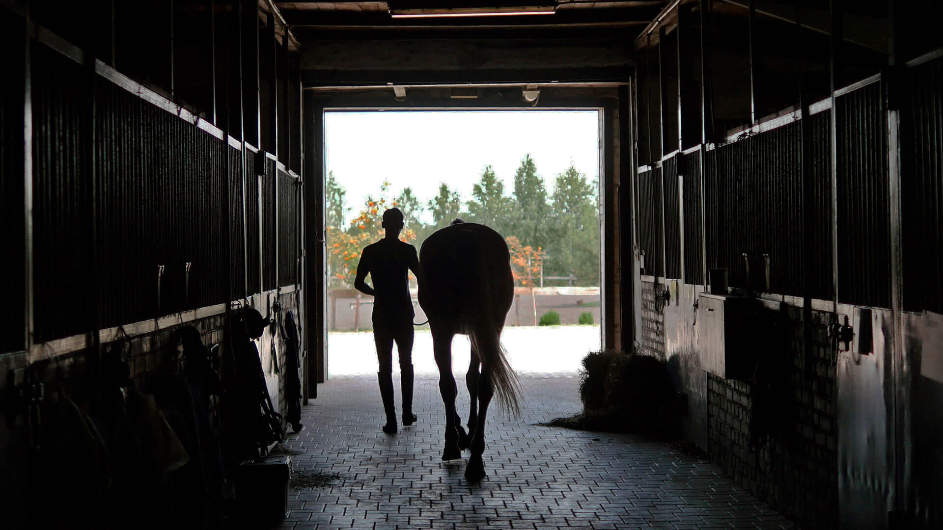 Turismo equestre Turismo equestre