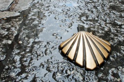 Улица с символом Пути святого Иакова