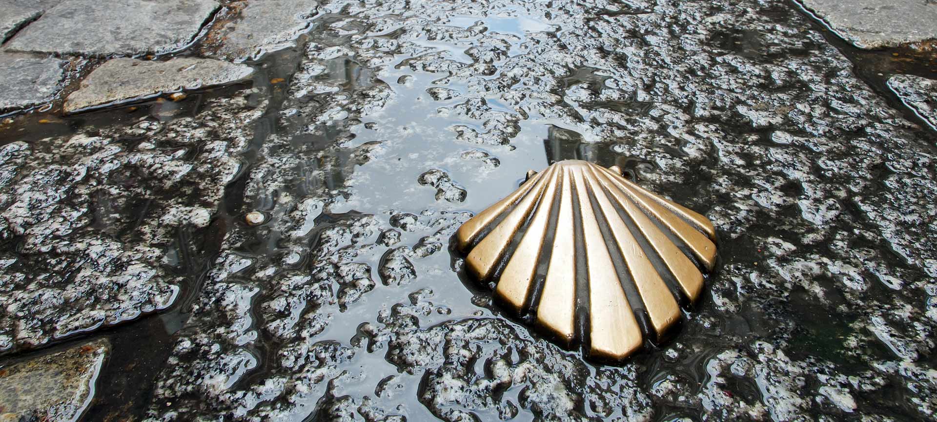「サンティアゴ巡礼の道」のシンボルが埋め込まれた通り 「サンティアゴ巡礼の道」のシンボルが埋め込まれた通り