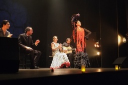 Spectacle de flamenco au Teatro Flamenco Real de Madrid
