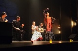 Spectacle de flamenco au Teatro Flamenco Real de Madrid