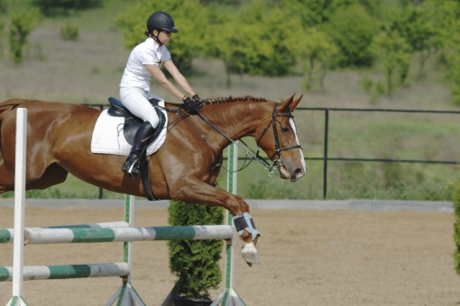 Équitation