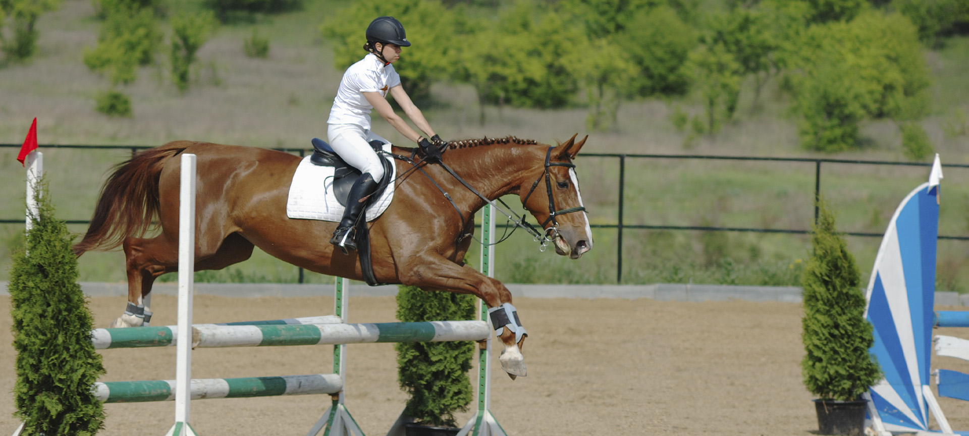 Équitation