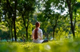 Женщина занимается медитацией в лесу