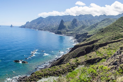 Coast of Tenerife